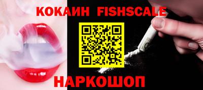 стаф Дубна