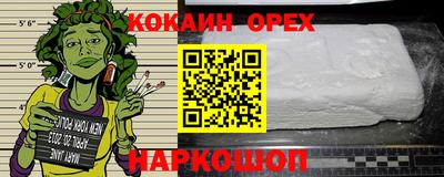 стаф Дубна