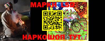 стафф Донецк