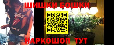 стаф Дубна