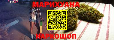 стаф Дубна
