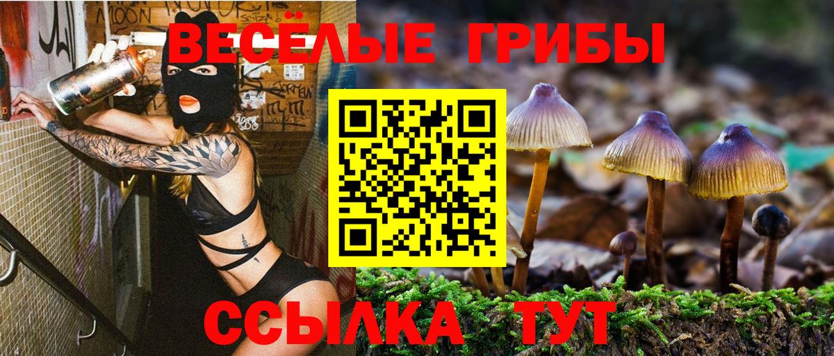 Галлюциногенные грибы Magic Shrooms Бутурлиновка