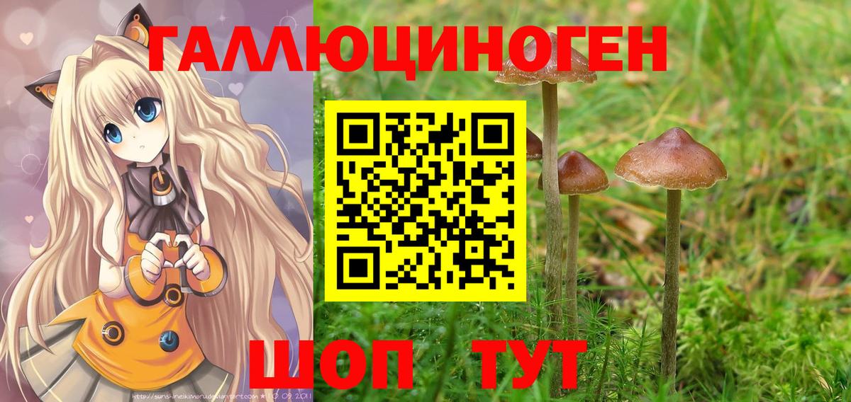 Галлюциногенные грибы MAGIC MUSHROOMS  Псилоцибиновые грибы мухоморы  Бутурлиновка  Вход с VPN 